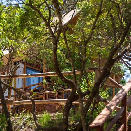 Camping Lacona Pineta Capoliveri  Exterior photo