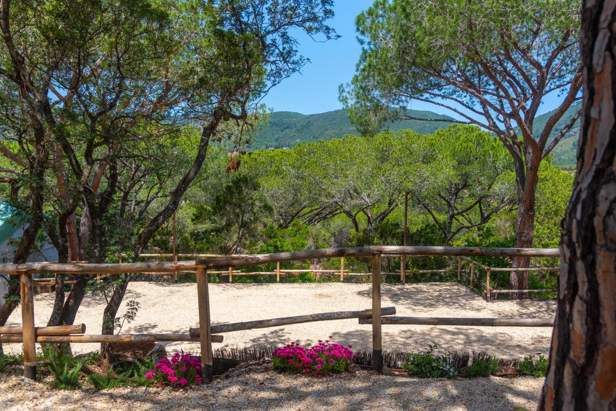 Camping Lacona Pineta Capoliveri  Exterior photo